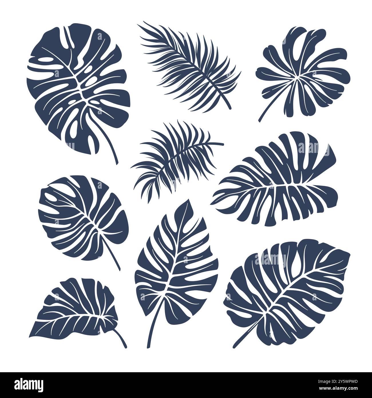 Set di forme di foglie tropicali vettoriali isolate. Sagome di rami e foglie di piante tropicali. Illustrazione Vettoriale