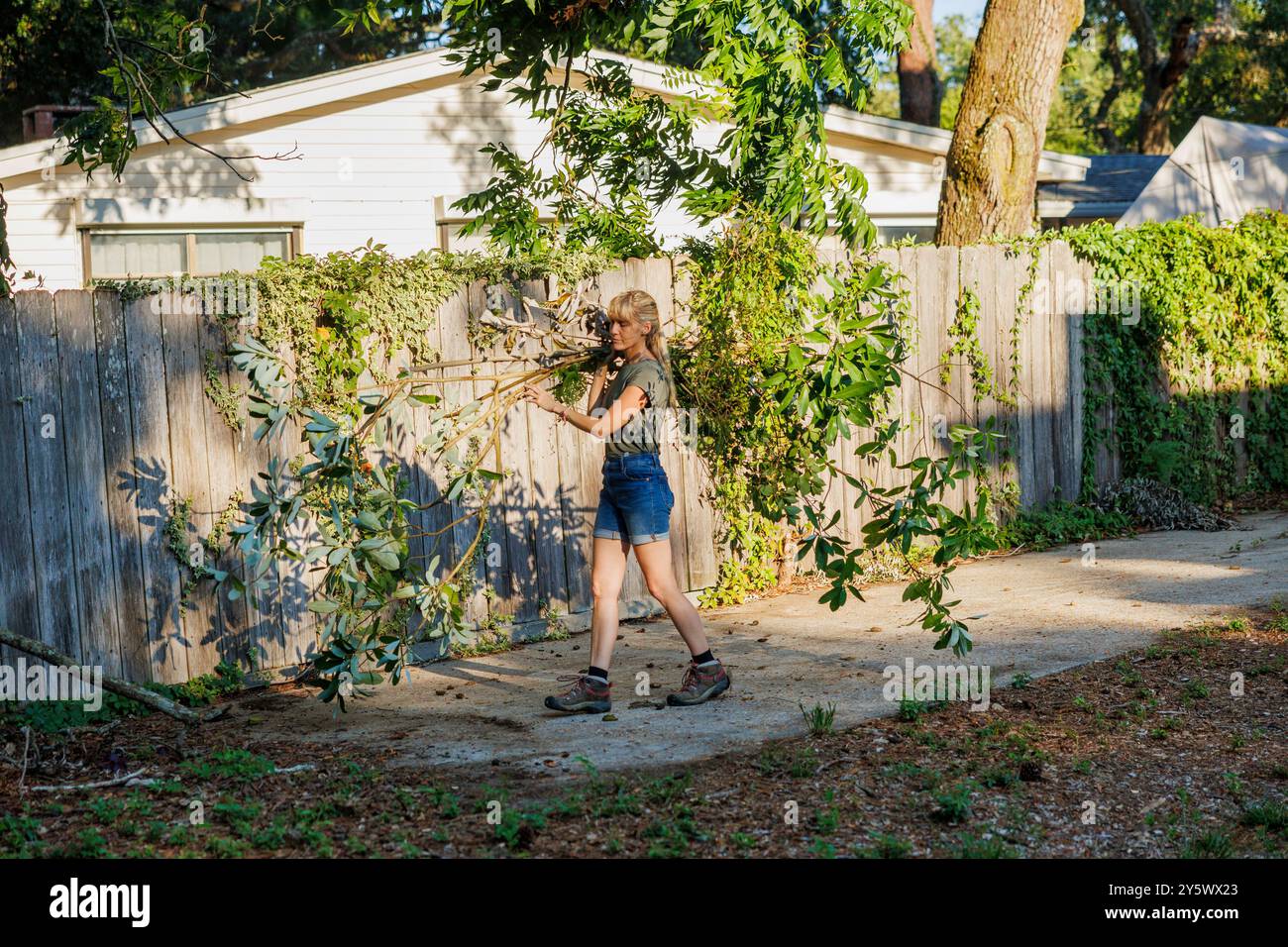 Donna in abiti casual che trasporta grandi rami con foglie verdi, Florida, Stati Uniti Foto Stock