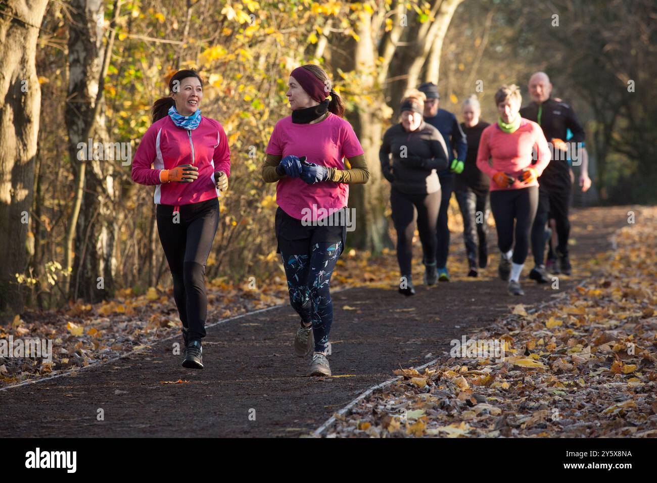 Gruppo di adulti che fanno jogging insieme su un sentiero punteggiato di foglie in un ambiente autunnale. Foto Stock