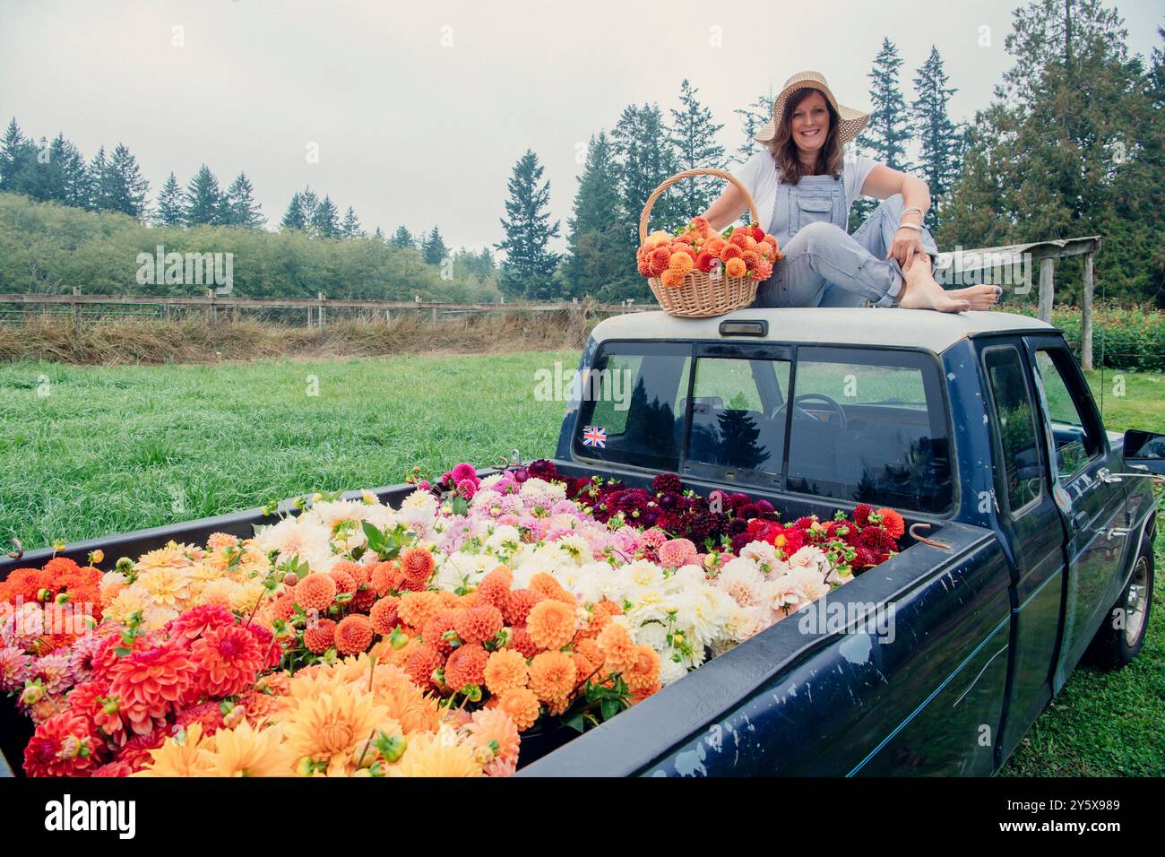 Donna sorridente seduta su un pick-up pieno di fiori colorati che tiene un cestino di frutta in un campo. Foto Stock