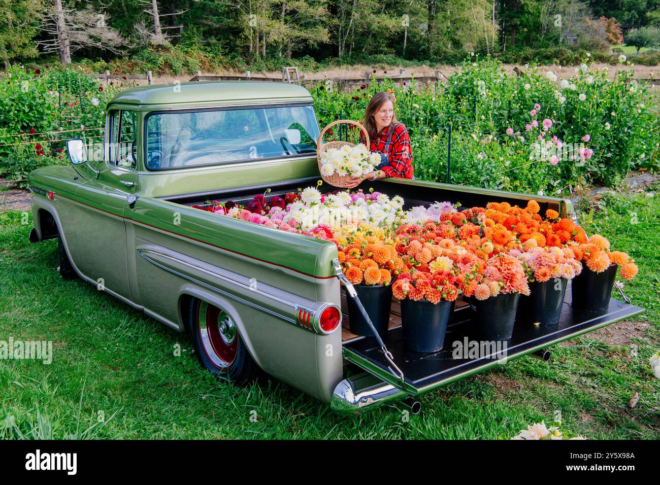 Camion verde vintage carico di fiori vivaci in una fattoria con una donna che prepara un cesto floreale. Foto Stock