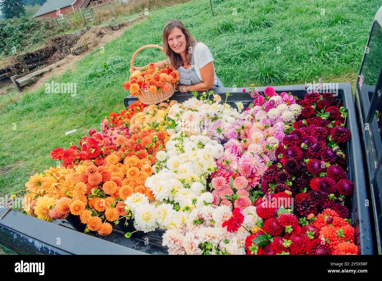 Una donna sorridente con un cesto si posa dietro un letto di camion pieno di fiori vivaci e appena raccolti. Foto Stock