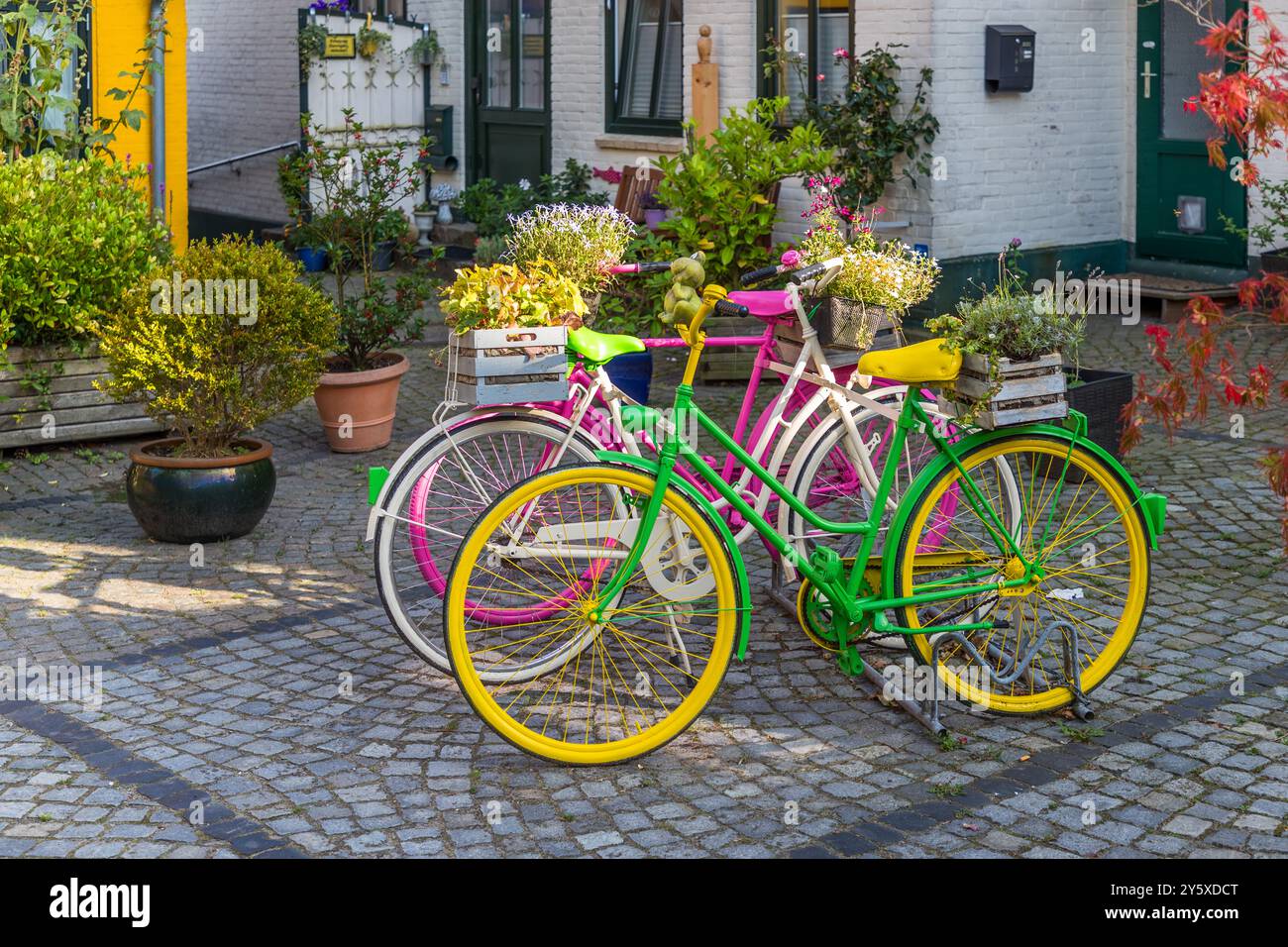 Biciclette dipinte di colori vivaci e decorate con fiori sono posate davanti a una casa imbiancata a Kehrwieder, una stradina nel centro storico di Kappeln. Schleswig-Holstein, Germania. Foto Stock