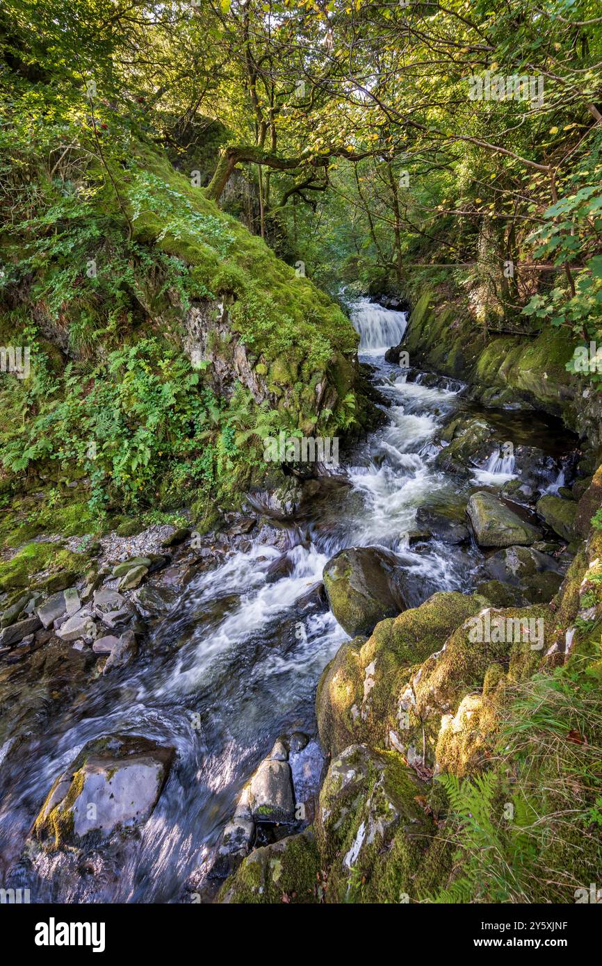 La cascata Ceunant Mawr o la cascata del grande burrone sopra Llanberis nel Galles del Nord, altrimenti note come cascate Llanberis. Foto Stock