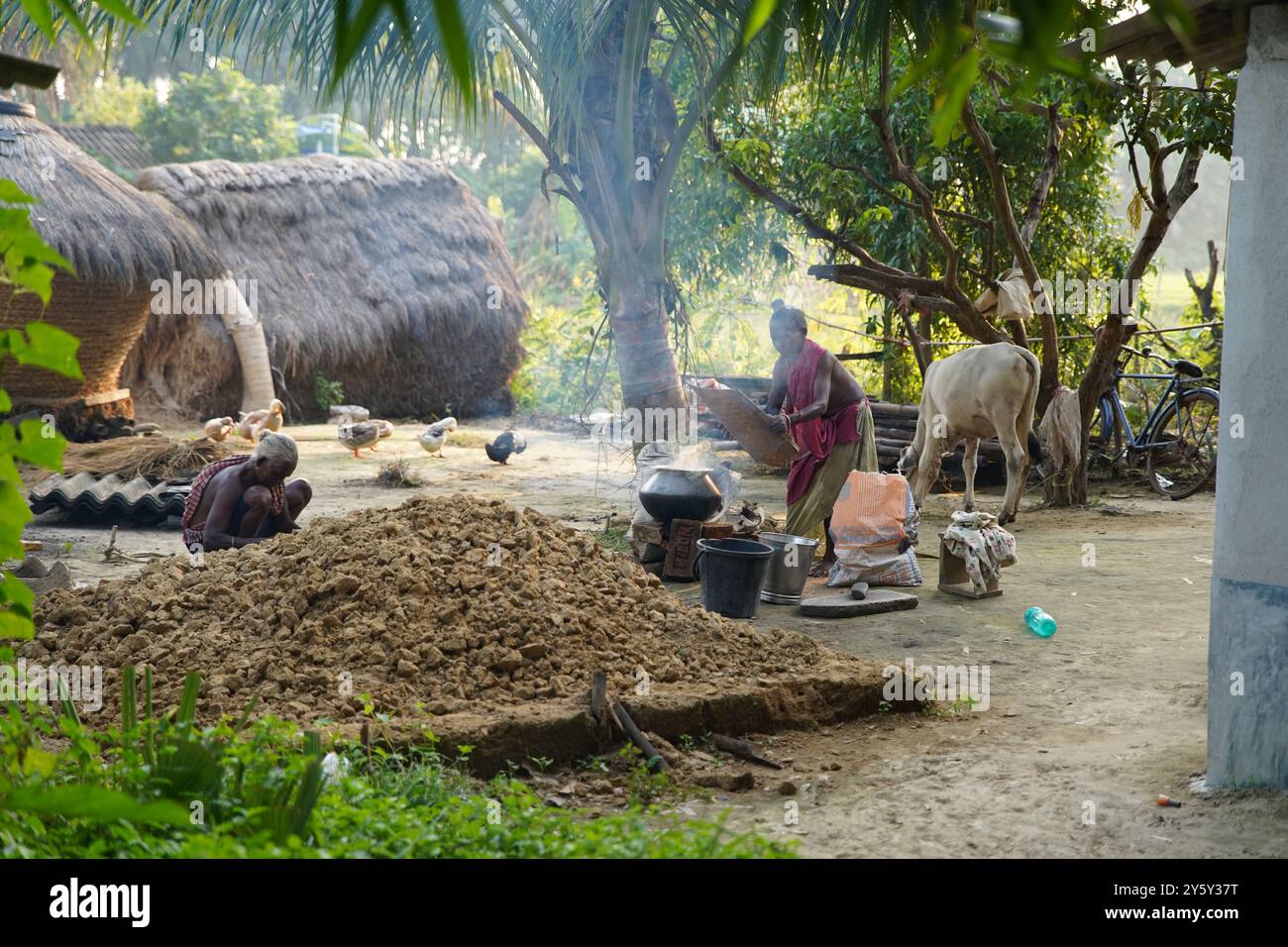 Una donna che cucina del riso fuori. Vita quotidiana a Bishnubati, un villaggio di Santal a Sattore, Birbhum, Bengala Occidentale, India. Foto Stock