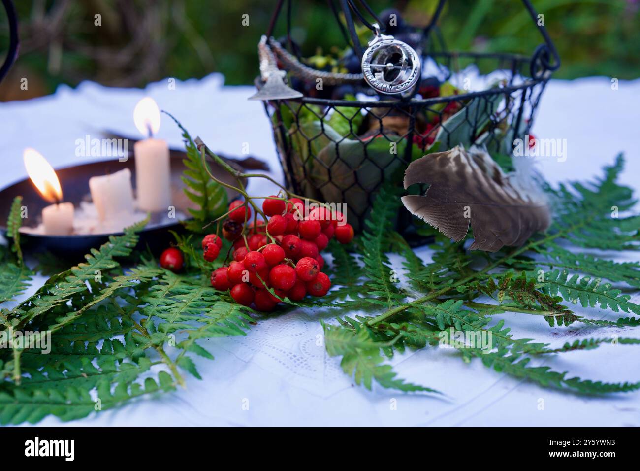 Nocciole e uva blu in un cestino Foto Stock