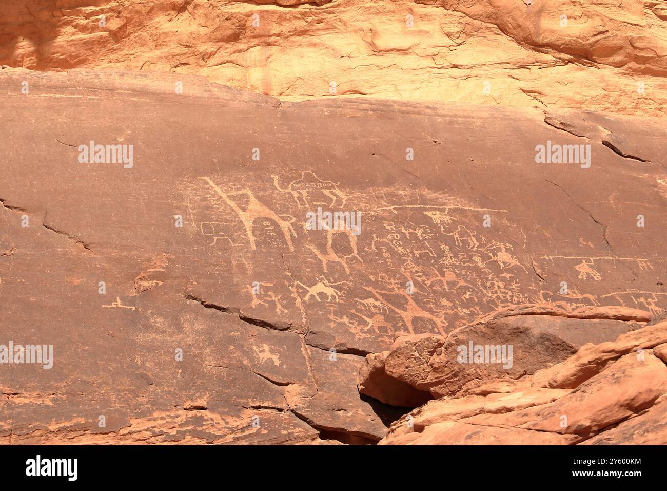 Vista ravvicinata di un petroglifico Wadi Rum in Giordania Foto Stock