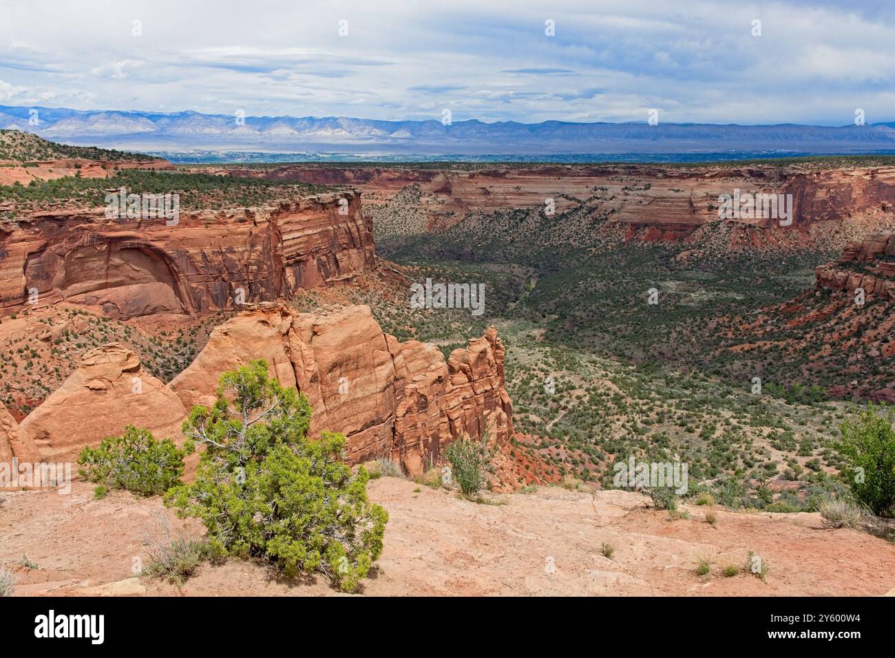 Punto panoramico delle Highland sulle pareti del canyon di roccia rossa, il lontano Book Cliffs of Colorado National Monument Foto Stock