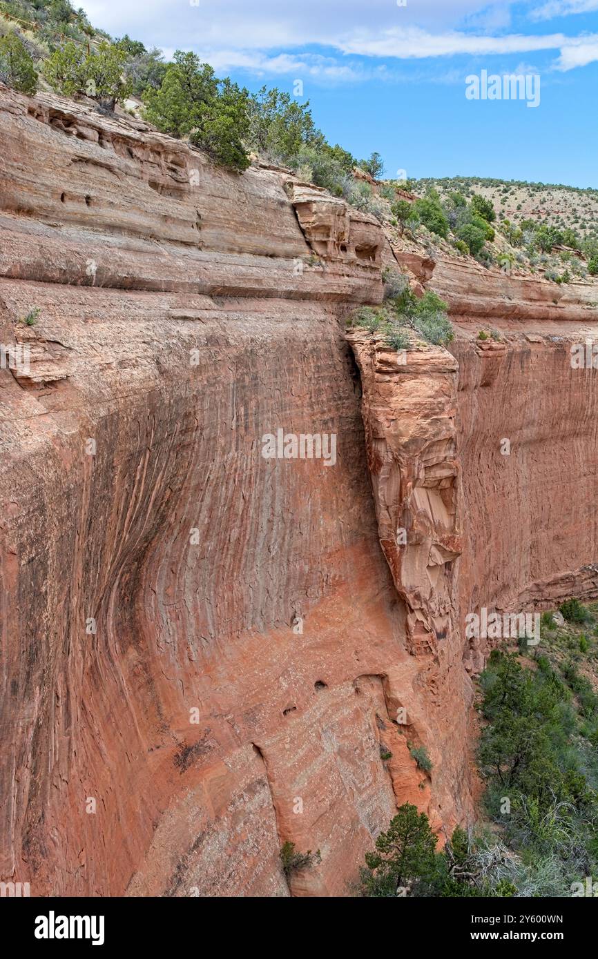 Erosione della formazione di arenaria spaccata dalla parete del canyon nel Colorado National Monument Foto Stock