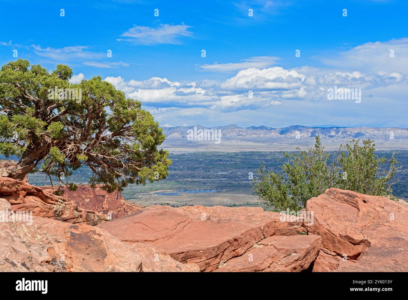 Ammira le Book Cliffs e la Grand Valley dal canyon di arenaria presso il Colorado National Monument Foto Stock