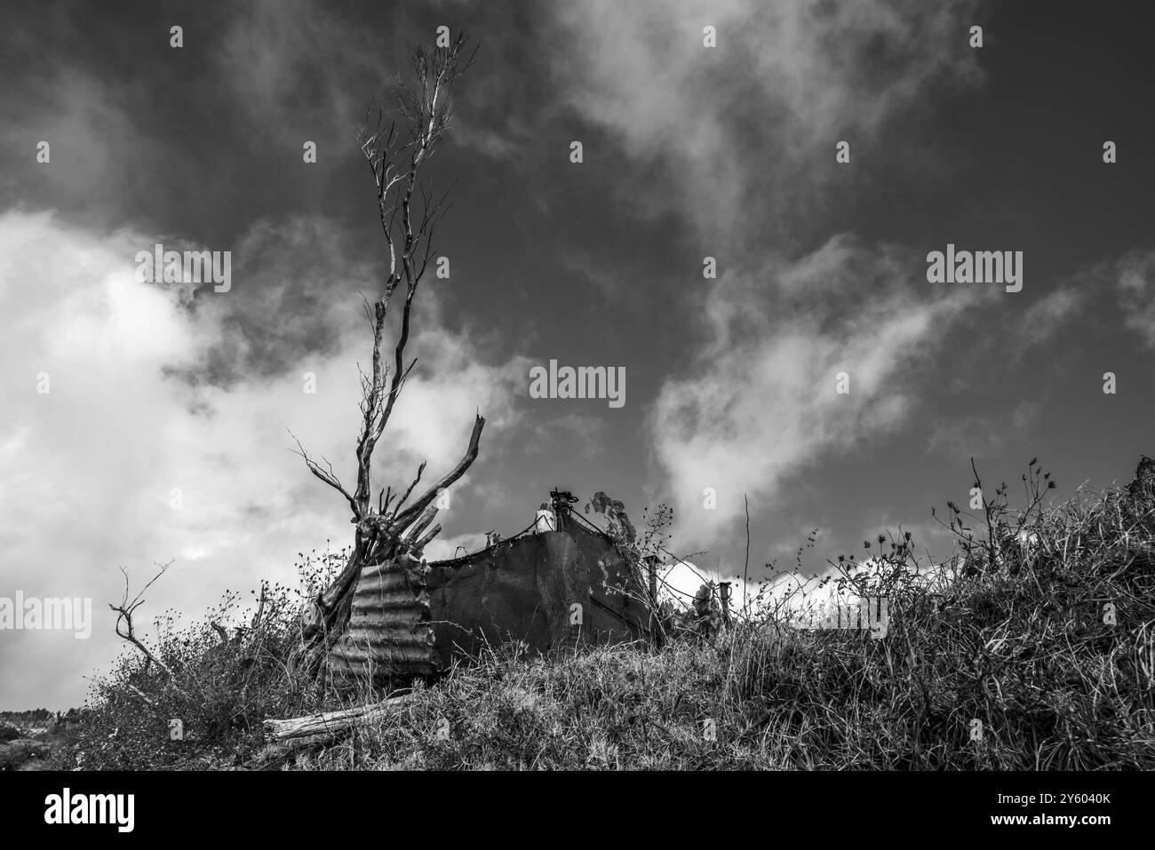 Fotografia in bianco e nero di un paesaggio con rami asciutti sagomati contro il cielo e vecchie lastre di metallo arrugginite nel nord di Madeira in Portogallo Foto Stock