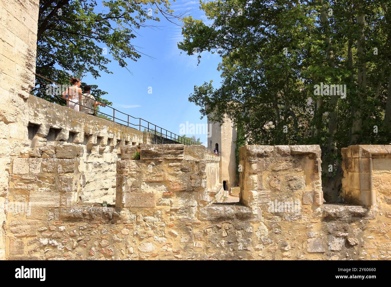 Avignone in Francia - agosto 25 2024: Punto panoramico Rocher des Doms (Dom Rock Park) con vista sul ponte Pont Saint-Benezet Foto Stock