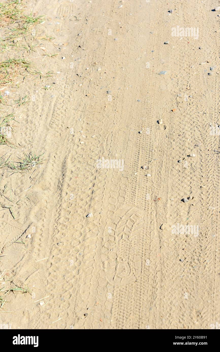 Impronte e segni di pneumatici su un sentiero sabbioso con un po' di erba sul lato, mostrando impressioni sulle attività all'aperto in una giornata di sole. Concetto di natura. Entra Foto Stock