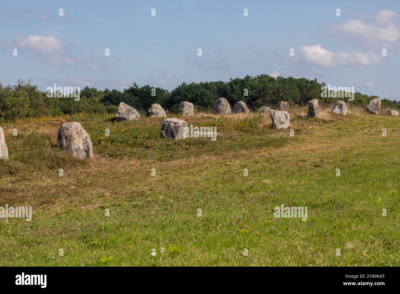 Allineamenti di Carnac Foto Stock