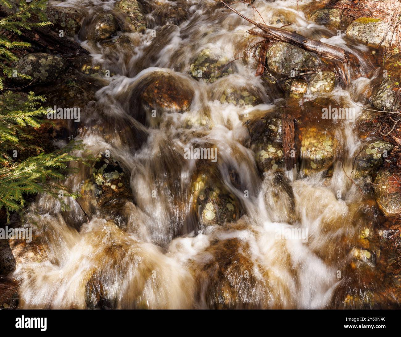 Acqua che scorre su Small creek, Finlandia Foto Stock
