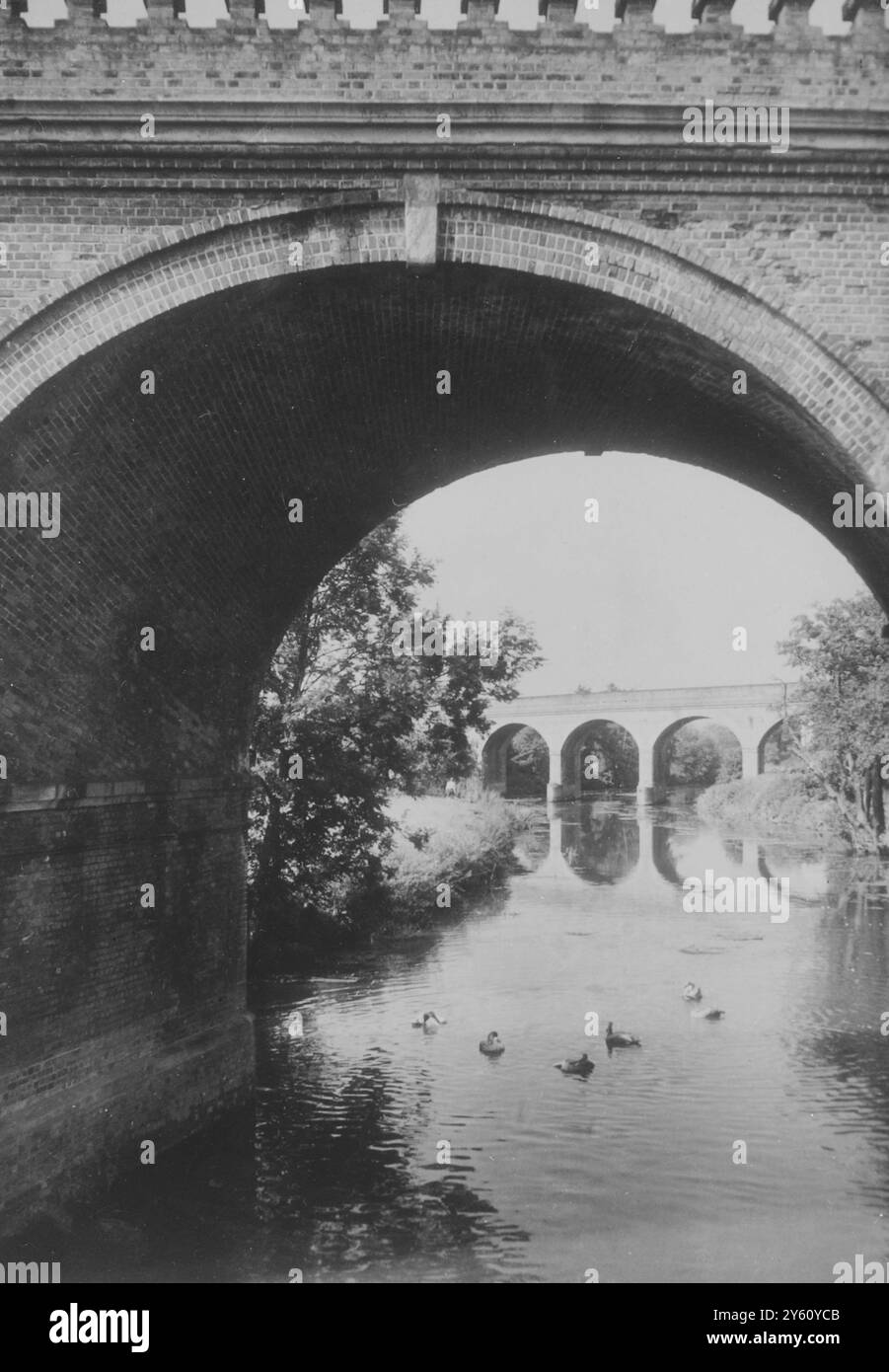 VISTA SUL FIUME MOLE SURREY 30 SETTEMBRE 1960 Foto Stock