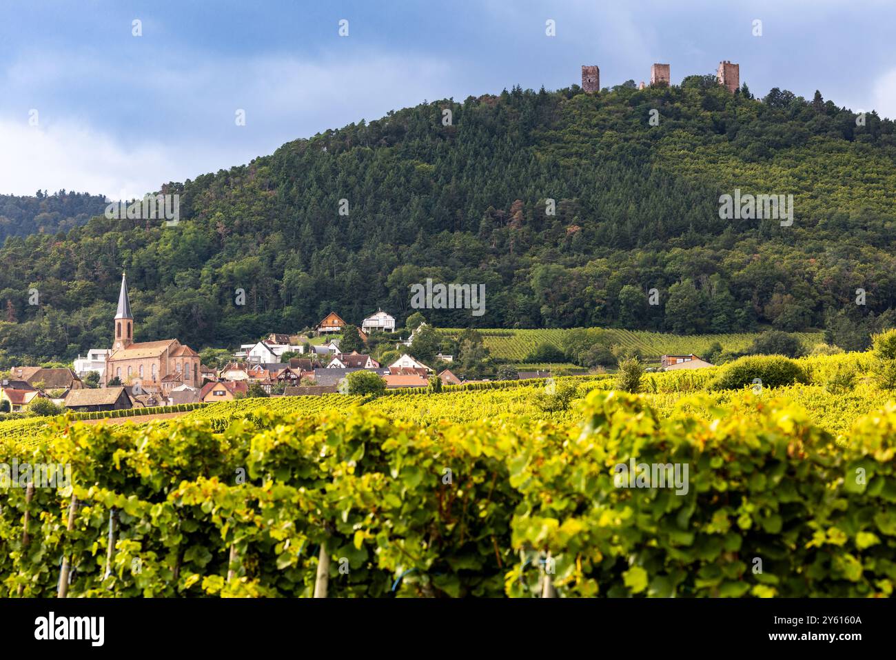 Villaggio Husseren-les-Châteaux e i tre castelli di Husseren-les-Châteaux, in Alsazia, nei Vosgi, sulla strada del vino dell'Alsazia, Haut-Rhin, Grand Est, Francia Foto Stock