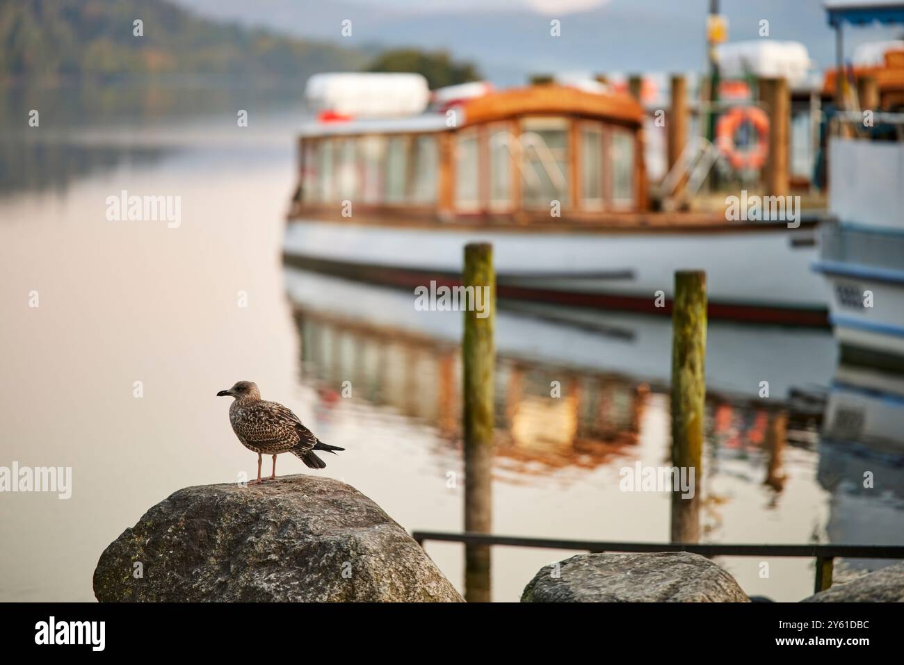 Windermere, nel Lake District, è il lago più grande d'Inghilterra Foto Stock