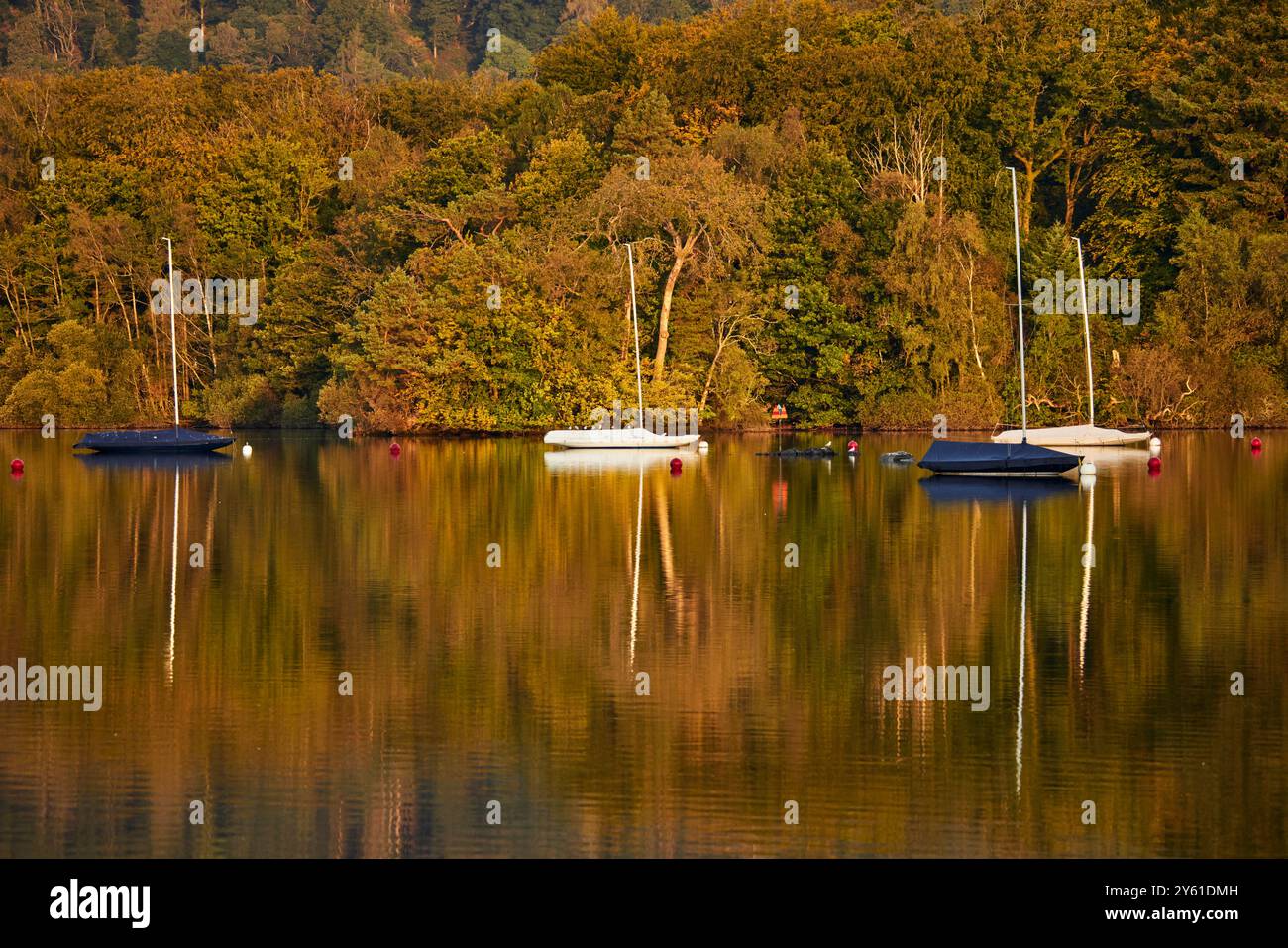 Windermere, nel Lake District, è il lago più grande d'Inghilterra Foto Stock