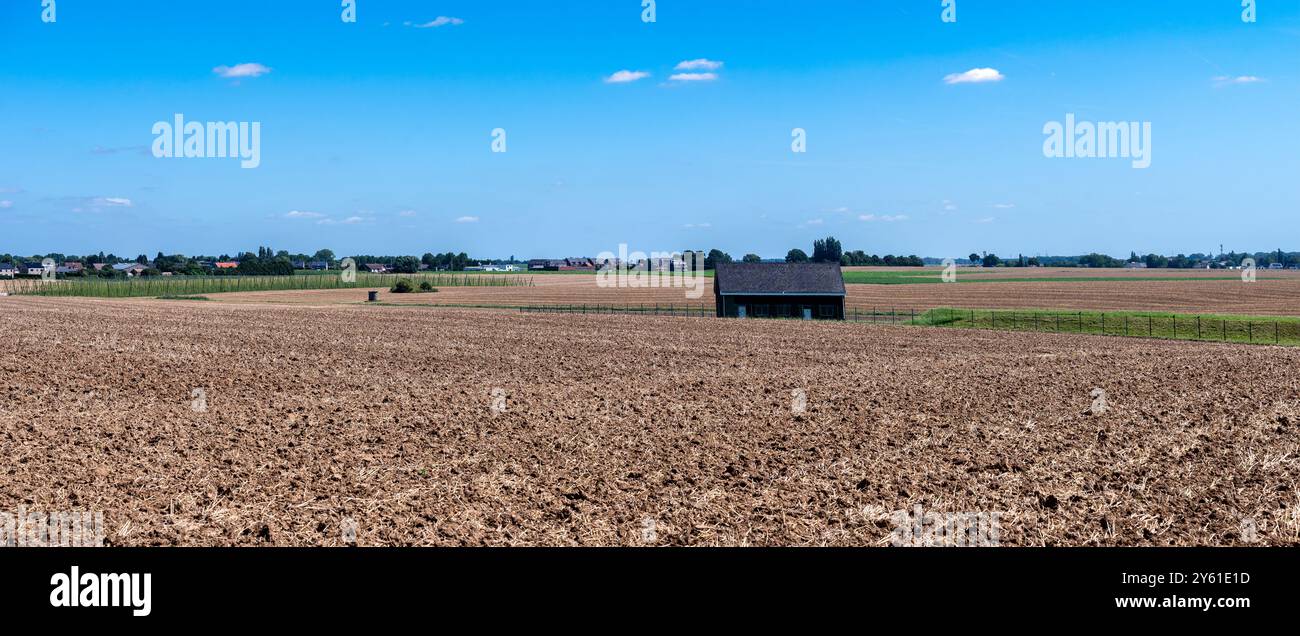Fertilizzante in un campo di agircoltura a Crisnée, Vallonia, Belgio Foto Stock