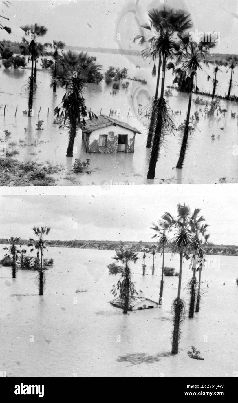 LE INONDAZIONI DEL FIUME JAGUARIBE HANNO INVASO IL BRASILE L'11 APRILE 1960 Foto Stock