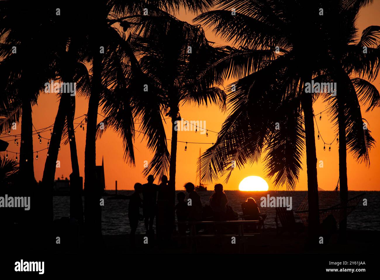 Silhoueted Palm Trees, Marathon Key, Florida Keys, Florida, Stati Uniti Foto Stock