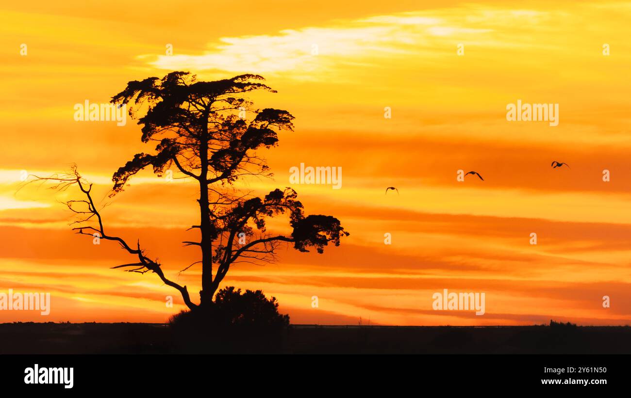 Una lunga pausa al tramonto su una spiaggia mediterranea, il movimento dell'acqua, l'ora d'oro e il paesaggio ispirano tranquillità e pienezza Foto Stock