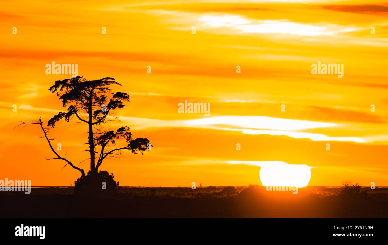 Una lunga pausa al tramonto su una spiaggia mediterranea, il movimento dell'acqua, l'ora d'oro e il paesaggio ispirano tranquillità e pienezza Foto Stock