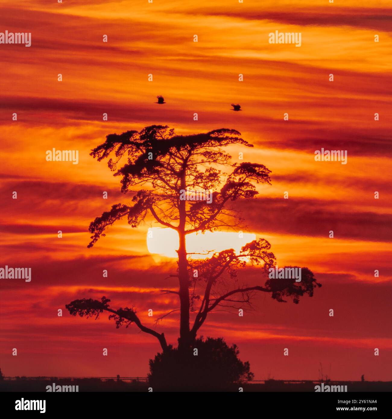 Una lunga pausa al tramonto su una spiaggia mediterranea, il movimento dell'acqua, l'ora d'oro e il paesaggio ispirano tranquillità e pienezza Foto Stock