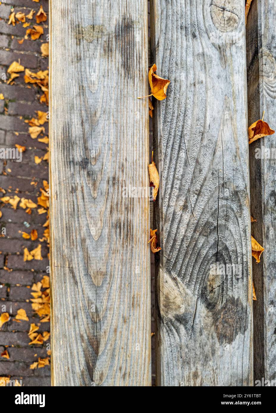 Foglie autunnali sulla pavimentazione in mattoni rossi sotto il tavolo e la panchina di legno, Leida, Paesi Bassi Foto Stock