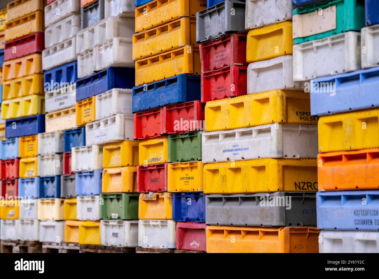 Il porto di Sassnitz, isola di Rügen, scatoloni per pesci in attesa della nuova cattura, presso il porto peschereccio di Meclemburgo-Vorpommern, Germania Foto Stock