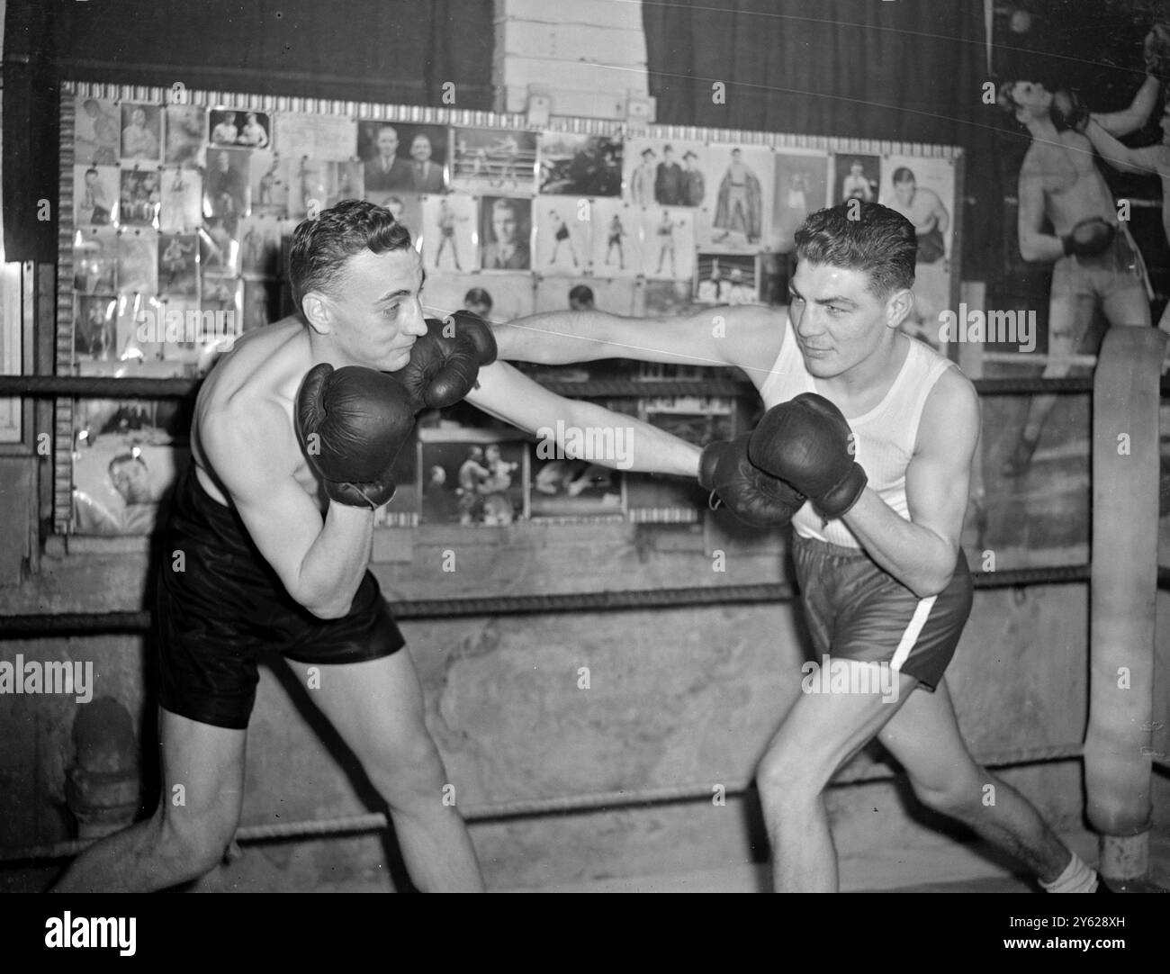 Gli appassionati di pugilato amatoriali avranno l'opportunità di valutare la forma dei partecipanti belgi alle prossime Olimpiadi, quando i membri della squadra si esibiranno domani sera alla Seymour Hall di Marylebone. Il ricavato dell'intrattenimento serale sarà devoluto al Royal Eye Hospital. Immagini: Julios (a sinistra) ex campione dilettante dei pesi massimi del Belgio, lottando con Emile Delmine, campione belga dei pesi welter al Jim Doherty's Gymnasium di Londra, oggi. Entrambi questi pugili devono rappresentare il loro paese ai Giochi Olimpici. 18 gennaio 1948 Foto Stock