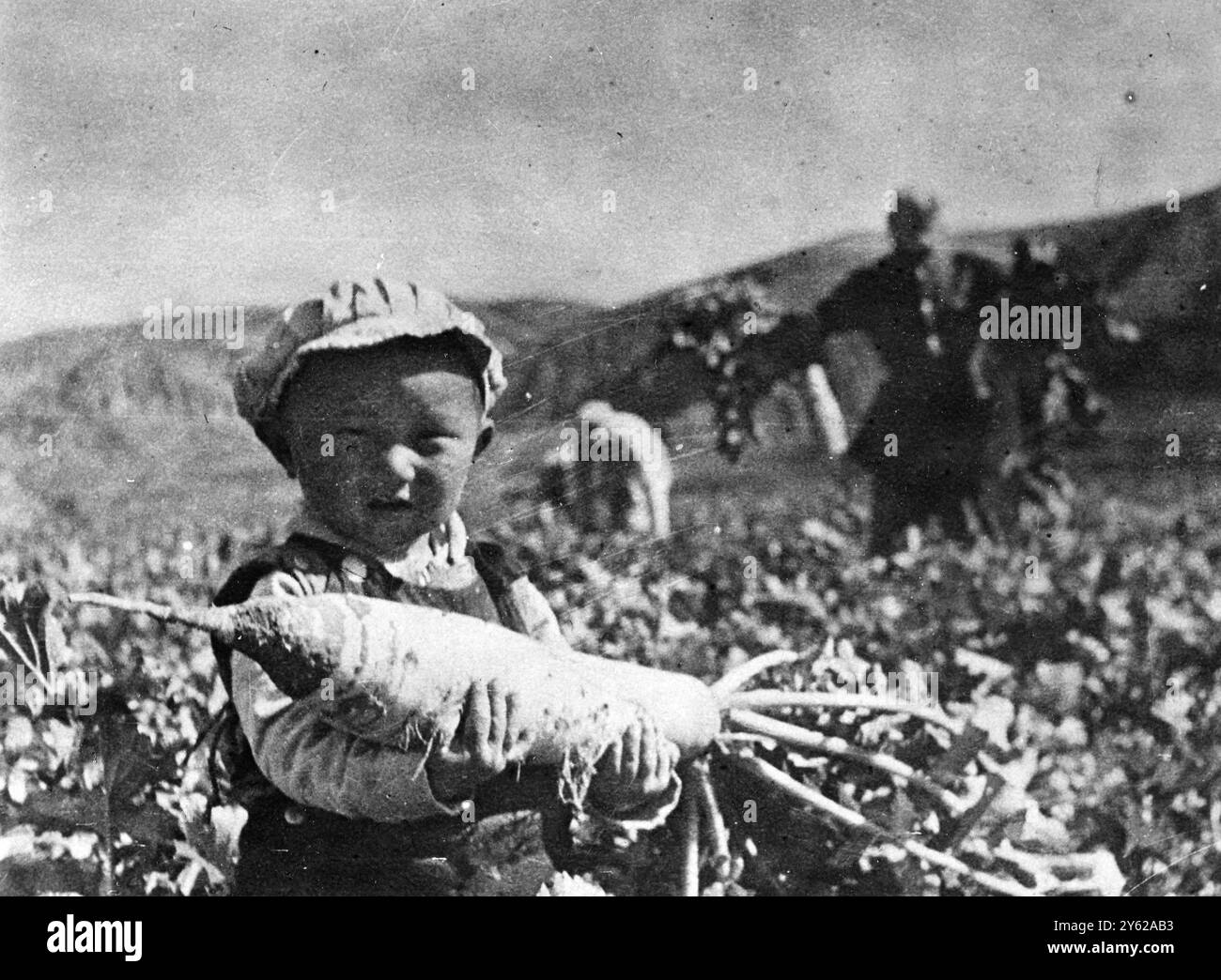 Questa è la Cina Rossa. Gli eserciti cinesi di vecchio stile vivevano sulla terra, derubando spietatamente i contadini dei loro raccolti. Un fattore importante nella capacità di resistenza a lungo termine degli eserciti popolari nelle aree liberate è che coltivano gran parte del loro cibo e si sforzano di autosostenersi in questo senso. La rapa che il bambino sta tenendo è stata prodotta in una fattoria dell'esercito del popolo a North Shensi. 13 dicembre 1947 Foto Stock