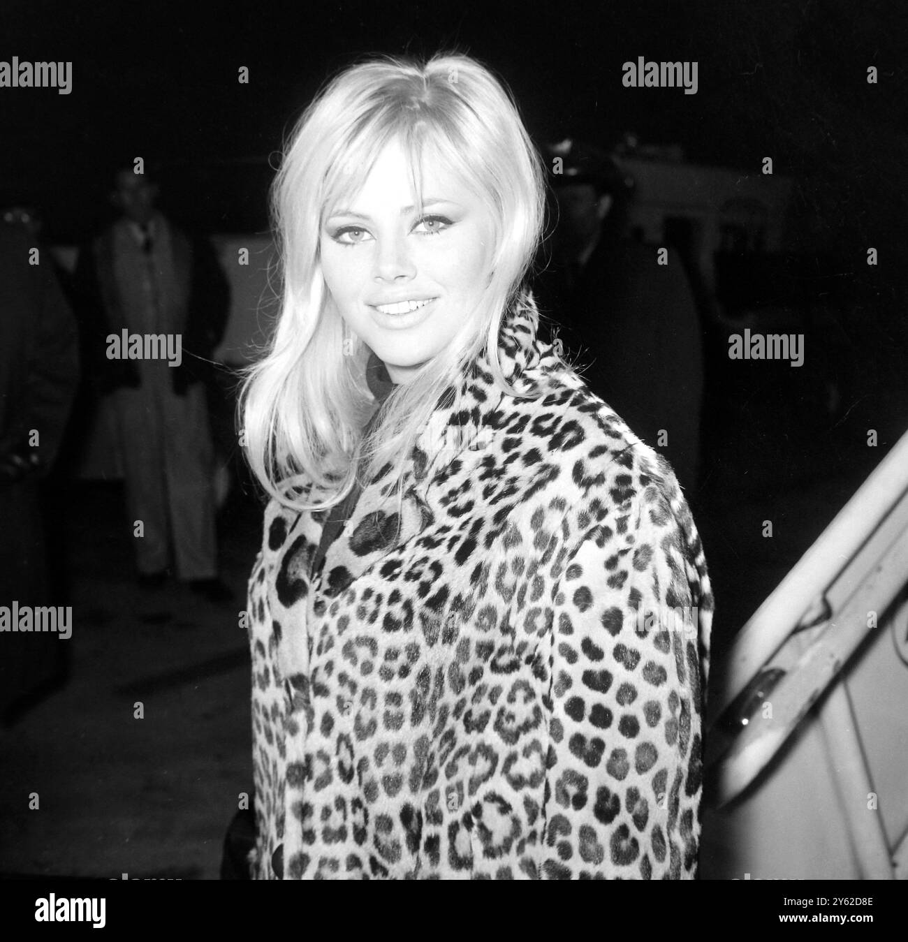 12 FEBBRAIO 1964 L'ATTRICE BRITT EKLAND ARRIVA ALL'AEROPORTO DI LONDRA, INGHILTERRA. È STATA INCONTRATA DA PETER SELLERS CHE LE HA FATTO SCIVOLARE UN ANELLO DI FIDANZAMENTO AL DITO, IL LORO MATRIMONIO DOVREBBE AVER LUOGO ENTRO UNA SETTIMANA. Foto Stock
