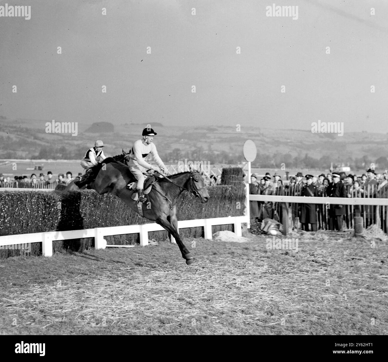 Pat Taaffe su Arkle allenato in Irlanda prende l'ultima recinzione davanti al campione inglese Mill House, guidato da G.W. Robinson prima di gareggiare per vincere la Cheltenham Gold Cup. 7 marzo 1964 Arkle (19 aprile 1957 - 31 maggio 1970) Foto Stock