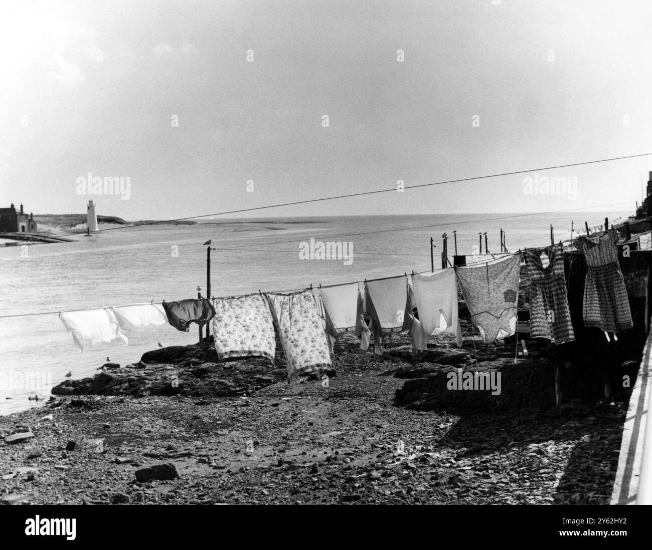 I cottage dei pescatori che tornano all'estuario dell'Esk meridionale a Ferrydan , Angus , Scozia , hanno linee di lavaggio quasi sopra l'acqua Foto Stock