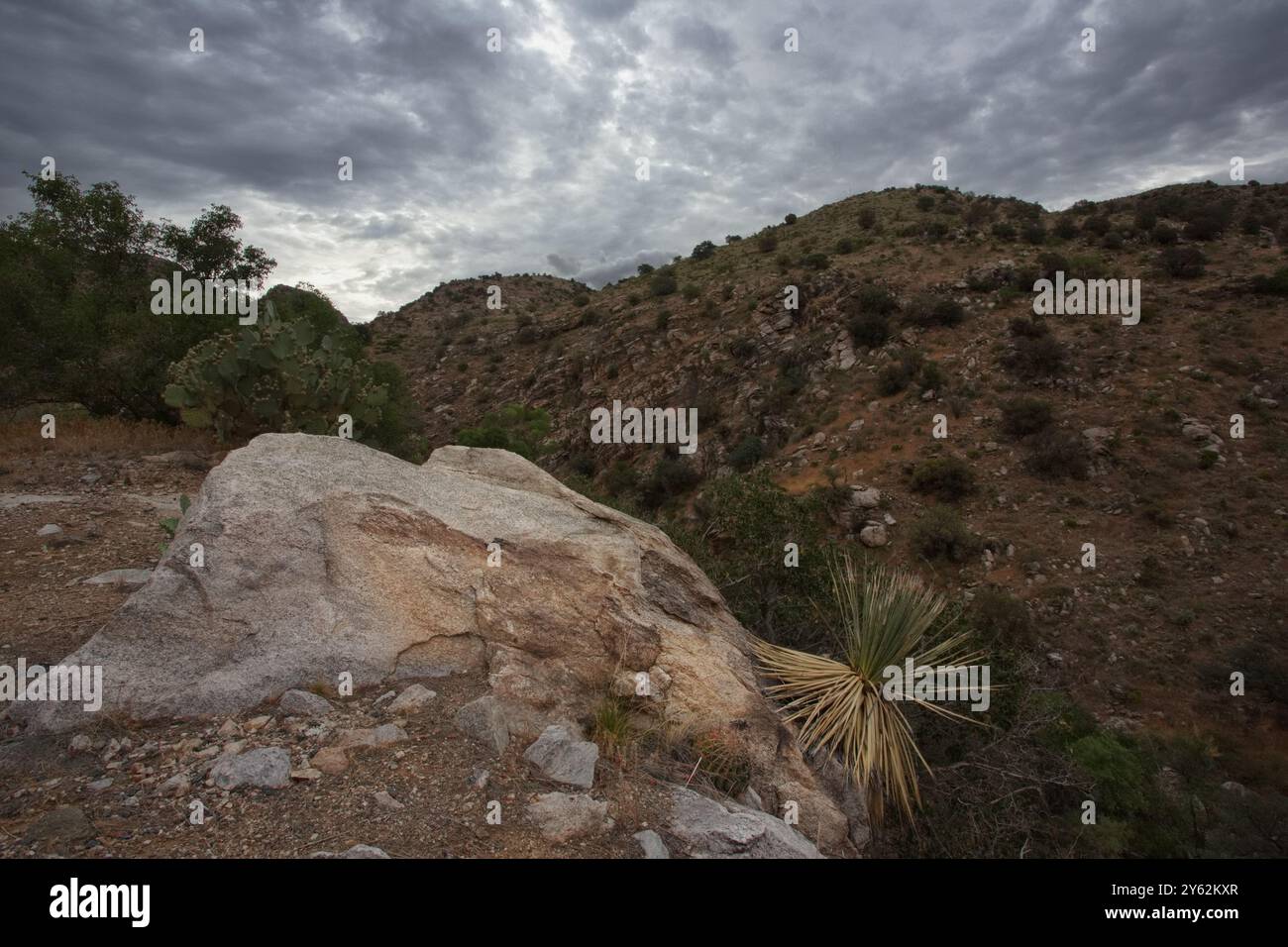 Vista su un terreno accidentato e arido sul monte Lemmon nella catena montuosa Catalina Mountains di Tucson, Arizona, un'attrazione turistica e una strada panoramica Sky Mountain Foto Stock