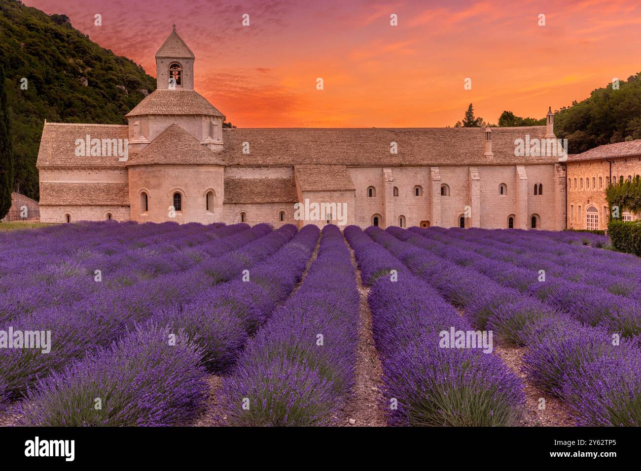 Abbazia di Notre-Dame de Senanque, monastero con campi di lavanda, villaggio di Gordes, dipartimento di Vaucluse, Provenza, Francia Foto Stock