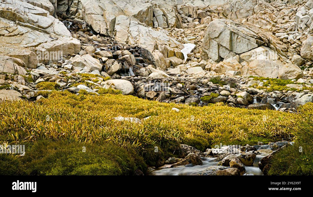 Le insenature scendono dalla montagna vicino al Trail Camp. Foto Stock