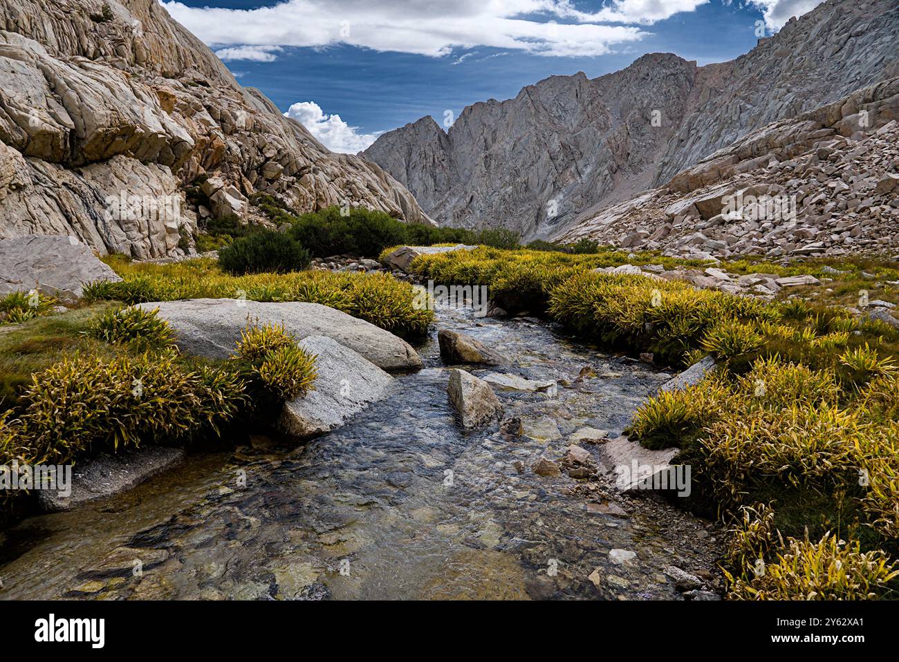 Le insenature scendono dalla montagna vicino al Trail Camp. Foto Stock