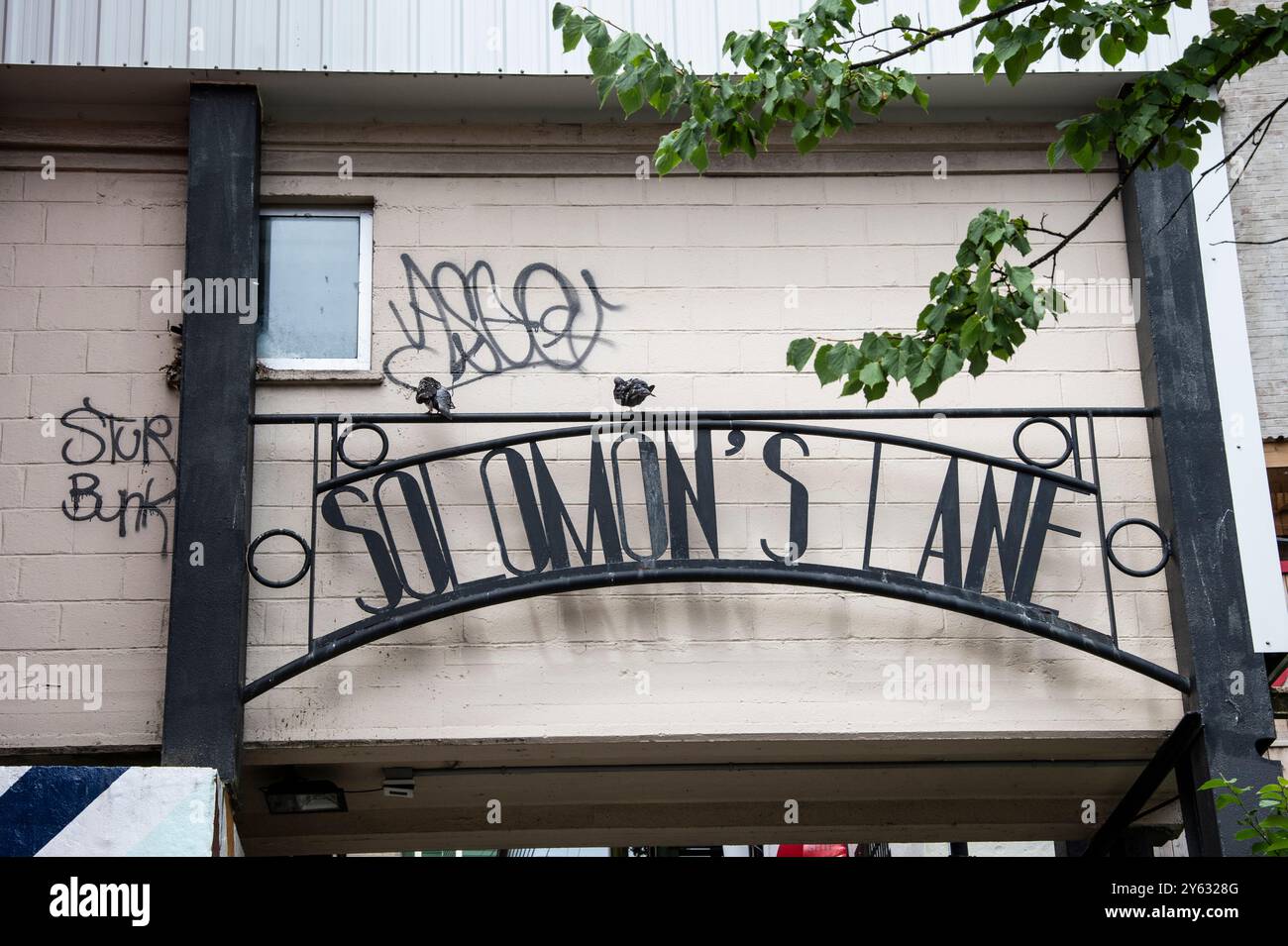 Solomon's Lane cartello tra Water Street e Duckworth Street nel centro di St. John's, Newfoundland & Labrador, Canada Foto Stock