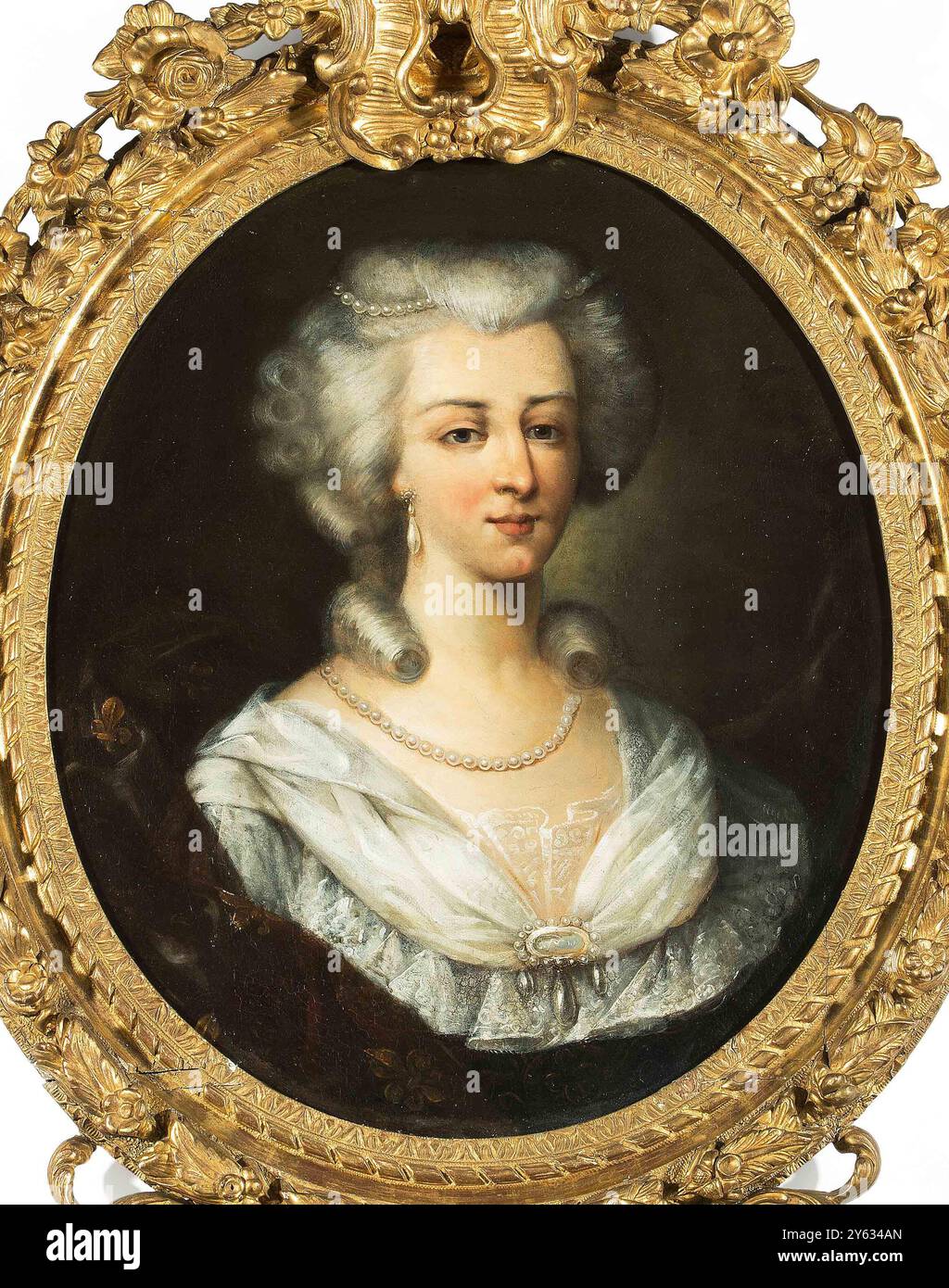 Ritratto della regina Maria Antonietta di Francia (1755-1793). Museo: Collezione privata. Autore: anonimo. Foto Stock