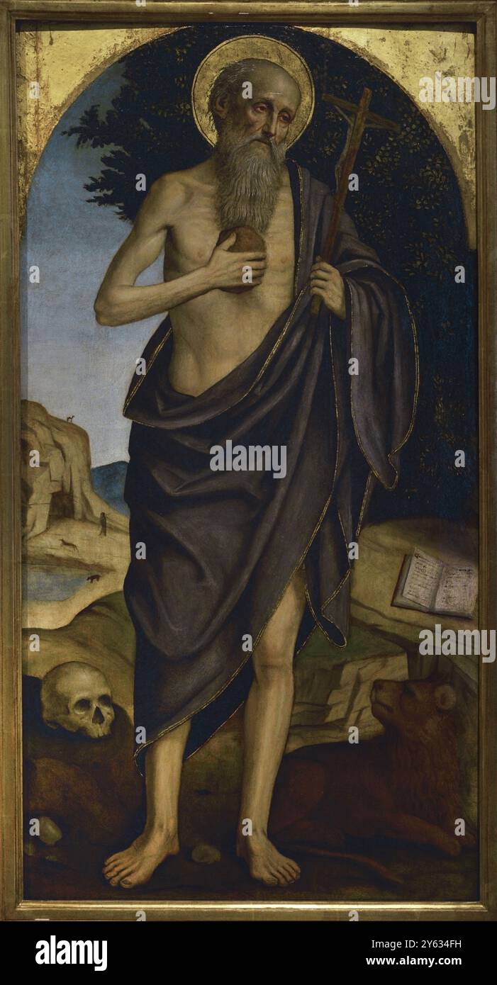 Ambrogio da Fossano, detto Bergognone (1453-1523). Pittore rinascimentale italiano. St. Jerome, ca. 1510. Olio e tempera su pannello di legno. Pinacoteca Castello Sforzesco, Milano, Italia. Foto Stock