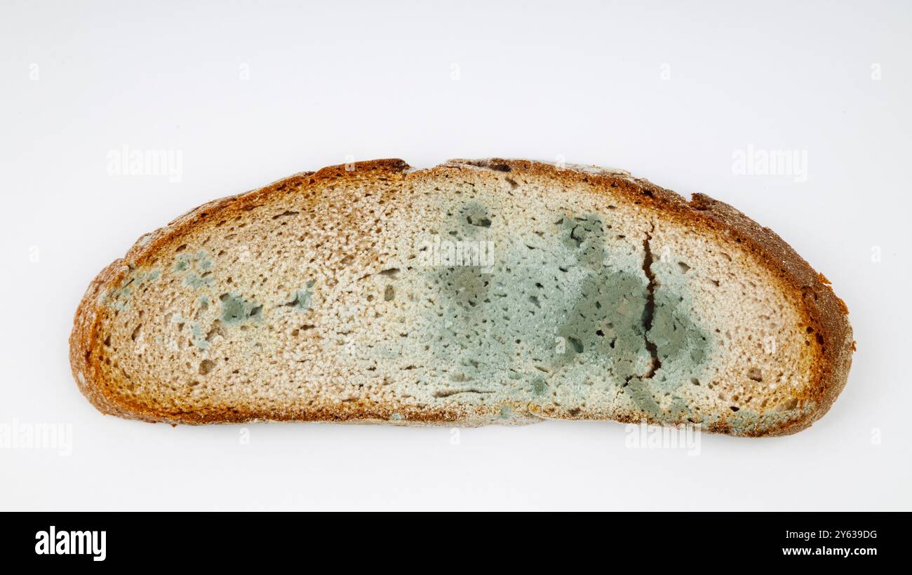 Fetta di pane stampato isolata su sfondo bianco. Foto Stock