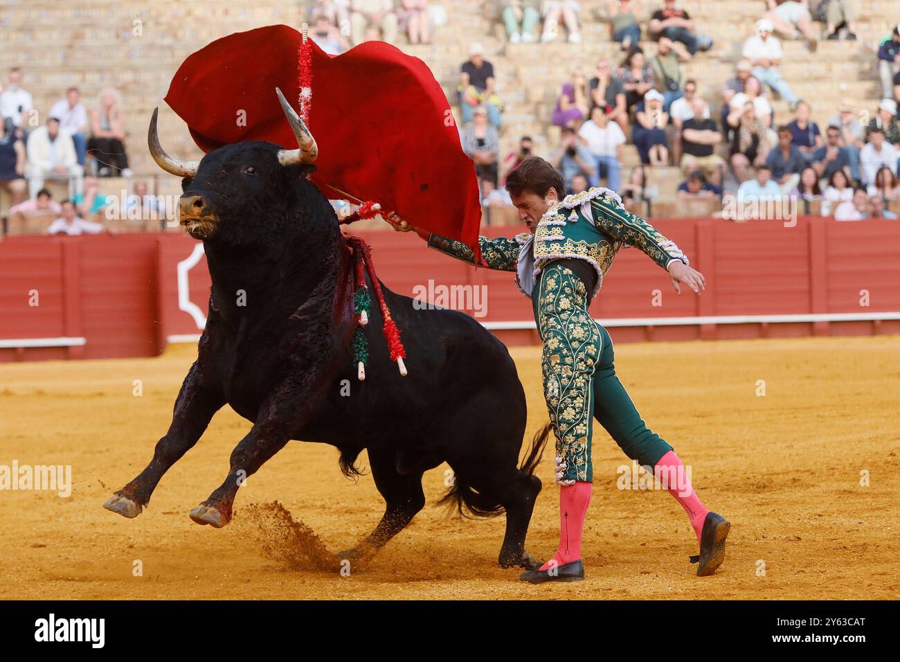 Siviglia, 04/07/2024. Tori di Fermin Bohorquez per i toreri Lama de Gongora, Ruiz Muñoz e Juan Pedro Garcia 'Calerito'. Foto: Raul Doblado. SEGN. ARCHSEV. Crediti: Album / Archivo ABC / Raúl Doblado Foto Stock