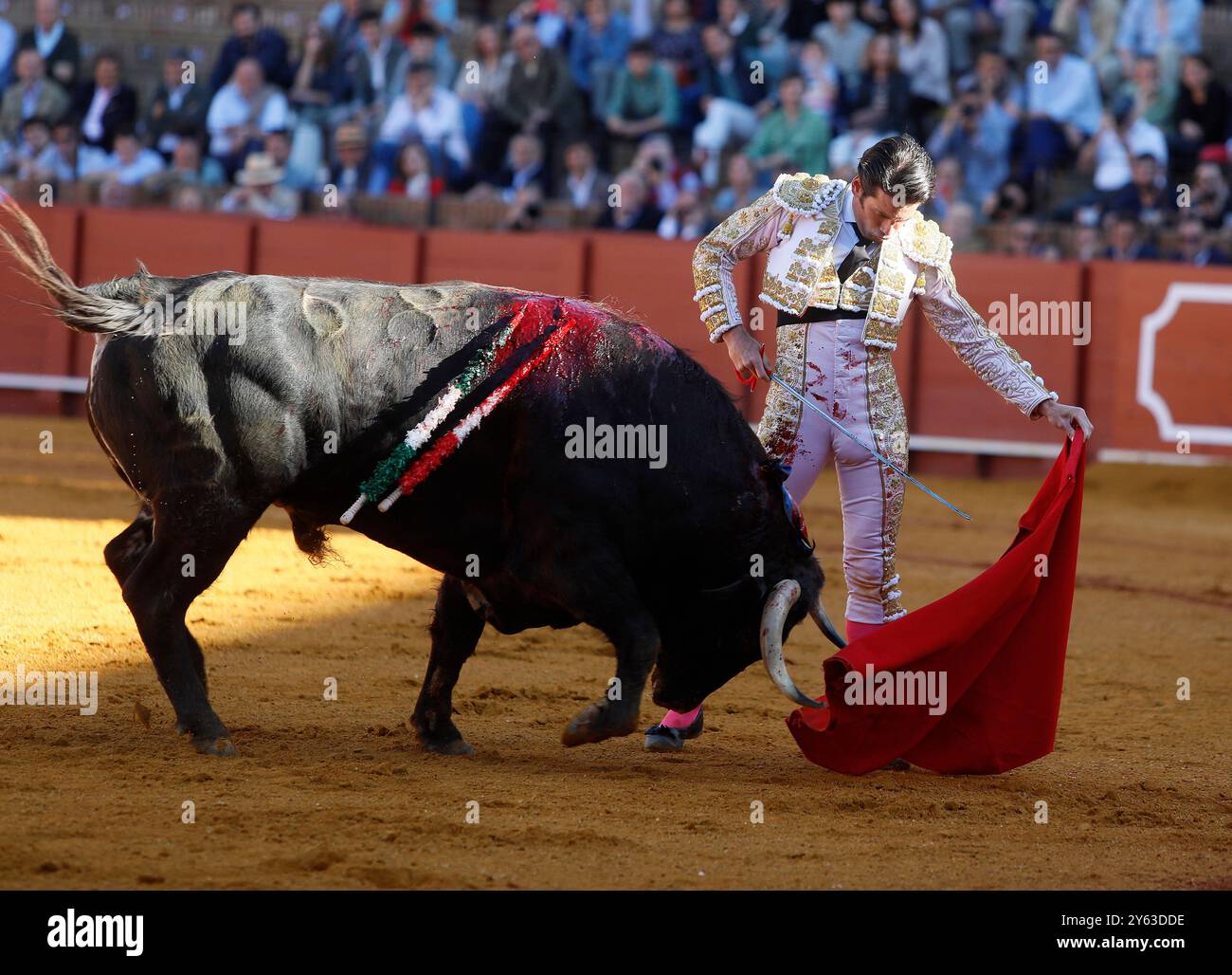 Siviglia, 04/09/2024 Bulls in Siviglia 3a stagione. Tori di Santiago Domecq per i toreri José Garrido, David de Miranda e Leo Valadez. Nell'immagine, José Garrido. Foto: Raúl Doblado. SEGN. ARCHSEV. Crediti: Album / Archivo ABC / Raúl Doblado Foto Stock