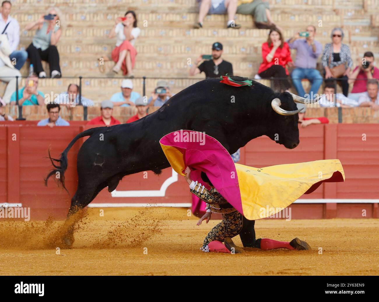 Siviglia, 04/07/2024. Tori di Fermin Bohorquez per i toreri Lama de Gongora, Ruiz Muñoz e Juan Pedro Garcia 'Calerito'. Foto: Raul Doblado. SEGN. ARCHSEV. Crediti: Album / Archivo ABC / Raúl Doblado Foto Stock