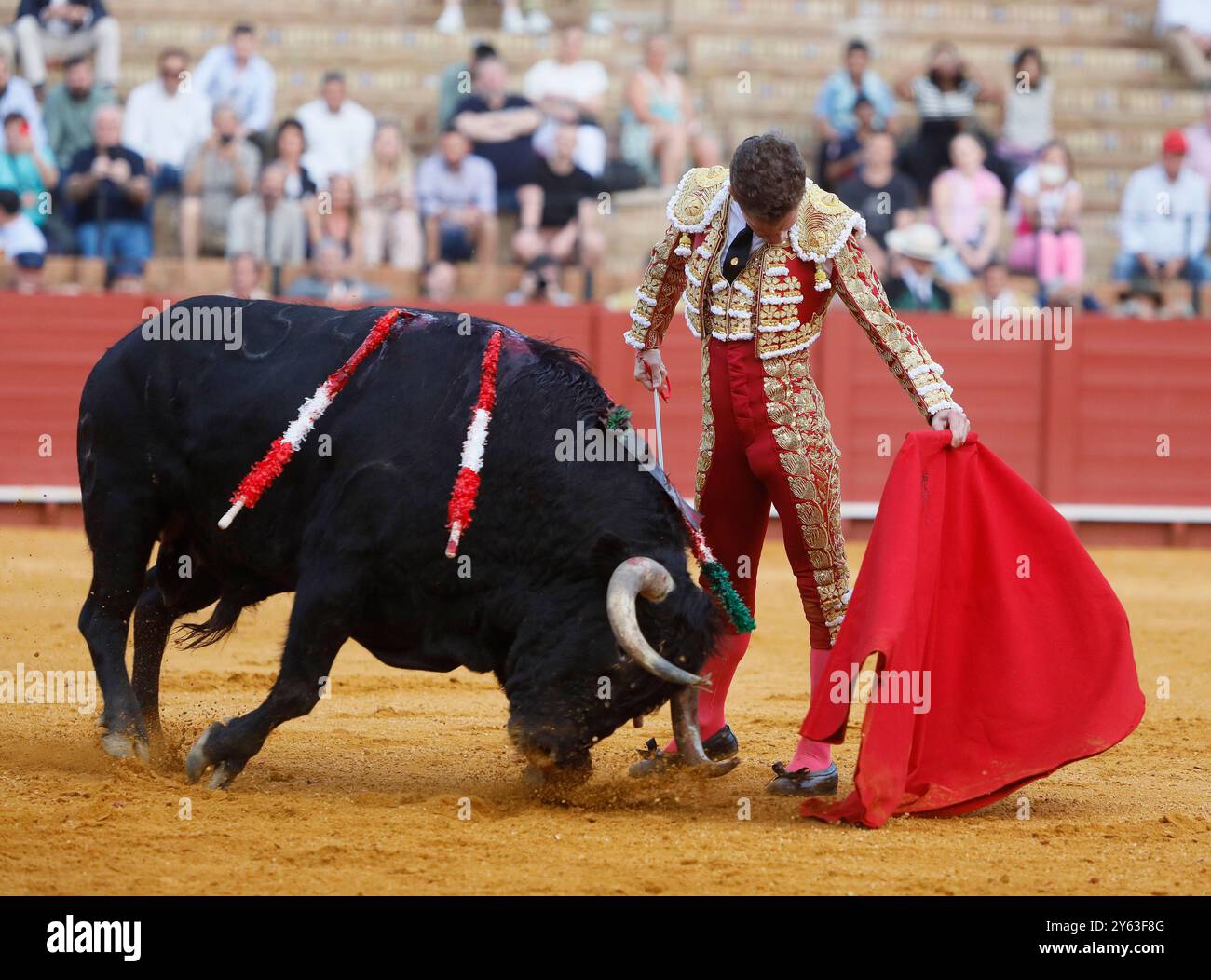 Siviglia, 04/07/2024. Tori di Fermin Bohorquez per i toreri Lama de Gongora, Ruiz Muñoz e Juan Pedro Garcia 'Calerito'. Foto: Raul Doblado. SEGN. ARCHSEV. Crediti: Album / Archivo ABC / Raúl Doblado Foto Stock