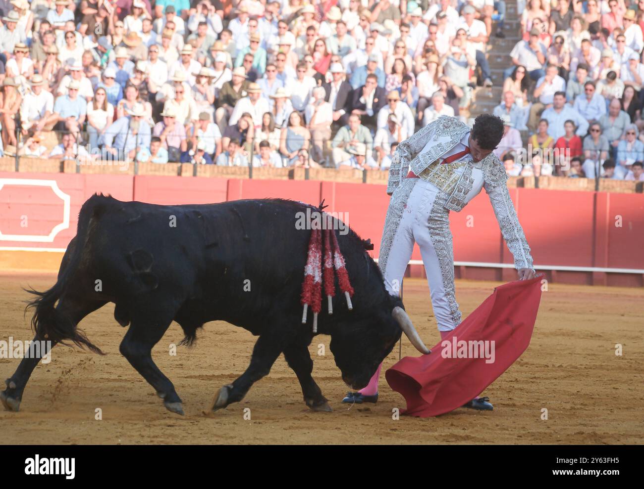 Siviglia, 12/05/2024. Corrida al Real Maestranza de Caballería con Sergio Domínguez "El Mella", Javier Zulueta e Mariscal Ruiz. Tori di Fermín Bohórquez. Naturale da Mariscal Ruiz al terzo da Fermín Bohórquez, da cui ha tagliato un orecchio. Foto: JM Serrano. SEGN. ARCHSEV. Crediti: Album / Archivo ABC / Juan Manuel Serrano Becerra Foto Stock