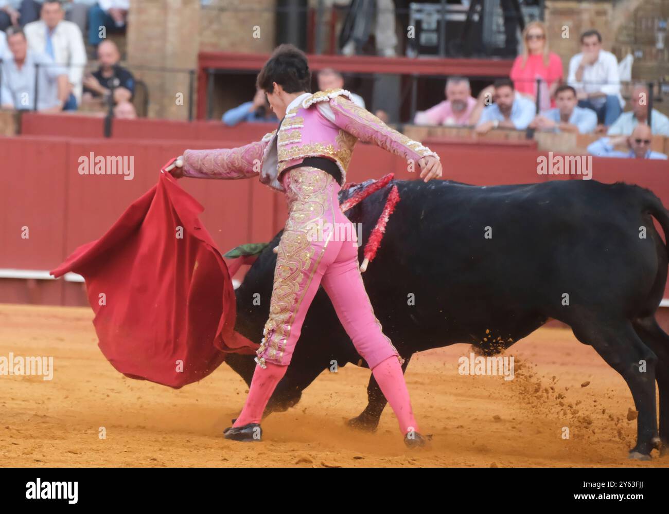 Siviglia, 12/05/2024. Corrida alla Royal Cavalry School con Sergio Domínguez "El Mella", Javier Zulueta e Mariscal Ruiz. Tori di Fermín Bohórquez. Nell'immagine, Sergio Domínguez "El Mella". Foto: JM Serrano. SEGN. ARCHSEV. Crediti: Album / Archivo ABC / Juan Manuel Serrano Becerra Foto Stock